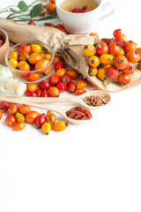 Medicinal plants and herbs composition: yellow and red wild dog rose, bunch branch types Rosa canina hips, essential oil. hearbal tea on white 