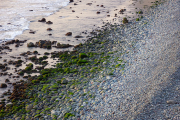 Coast shore of pebbles and rocks covered with green moss by sea water. Texture lines background concept