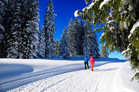 Hikers on Germany's first premium winter hiking trail, Hemmersuppenalm, Reit im Winkl, Chiemgau, Upper Bavaria, Bavaria, Germany, Europe?, Europe