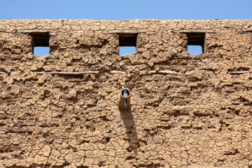 Bird Perched on Mud-Brick Wall in Djenné, Mali