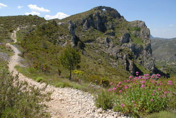 landscape in the mountains, hiking trail to la Forada Rock Arch, Sierra de la Forada, Alicante Province, Comunidad Valenciana, Spain