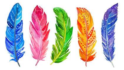 Watercolor blue, pink, orange and green feathers set on white background. Hand painted illustration. 