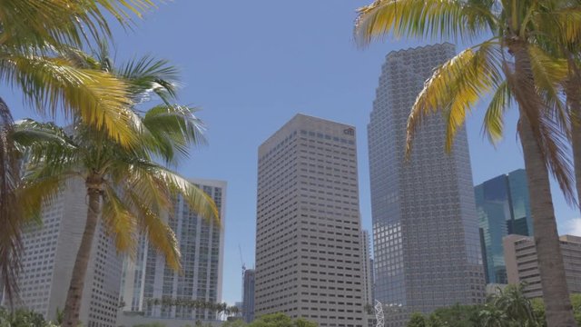 View of Downtown skyscrapers from Bayfront Park, Little Havana, Miami, Florida, United States of America, North America