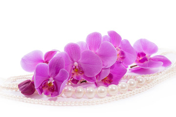 Fototapeta na wymiar Orchid. A branch of pink orchids and pearls. Greeting card. Beautiful composition. Isolate on white background Orchid and beads from pearls on a white background