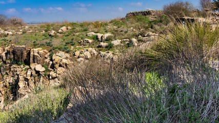 Fototapeta na wymiar Desert Israel stones canyon 