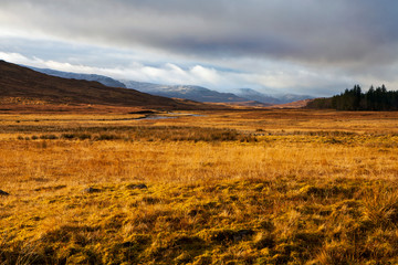 Scottish landscape in winter golden colours