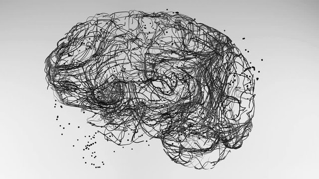 brain neurons connections 