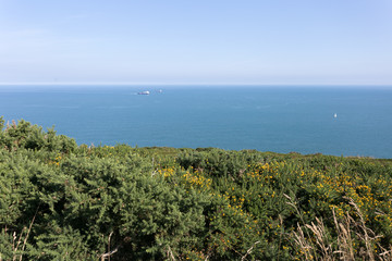 Walking the Howth Cliff Path Loop