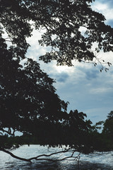 Phutthamonthon park thailand