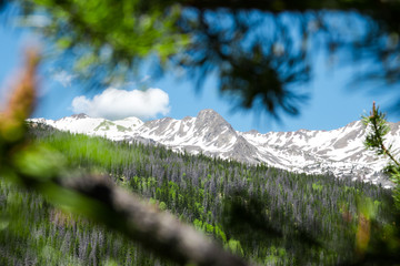 Rocky Mountain National Park 67