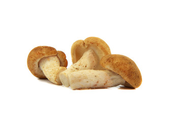 Shiitake mushrooms / Raw fresh mushroom shiitake isolated on white background for cook food