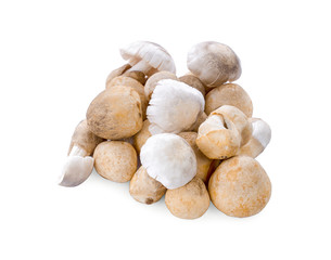 Straw mushrooms isolated on white background