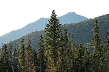 Rocky Mountain National Park 17