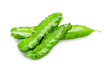 Winged Bean isolated on white background