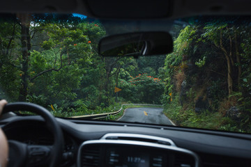 Driving the Windy Road to Hana in Maui, HI