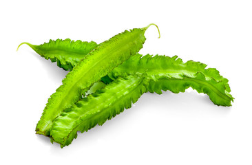 Winged Bean isolated on white background