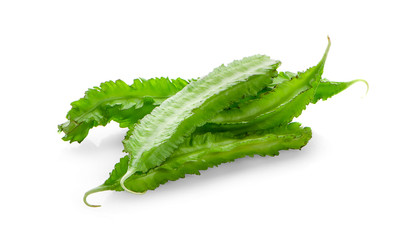 Winged Bean isolated on white background