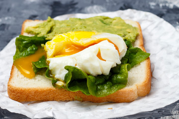 Sandwich with avocado and egg close-up, white and gray background
