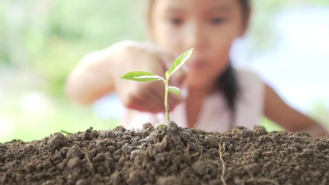 Close up of beautiful girl's hand watering a plant. Concept protecting the earth and environmental conservation. Slow motion shot