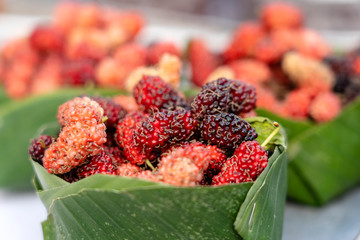 Raw mulberry for sale on street market in Thailand. Tropical fruit, close up