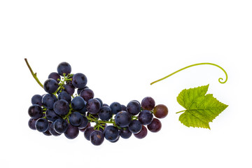 red seedless table grapes with leaf on white background