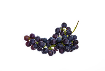bunch of dark blue table grapes on white background with copy space above