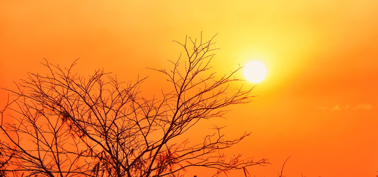  Wiw tĥxngf̂ā s̄ī h̄elụ̄xng s̄̂m l&aelig;a ṭhrrmchāti nı p̀ā k̄hxng pratheṣ̄thịy nı ch̀wng ch&ecirc;ā k̀xn phraxāthity̒ k̄hụ̂n dxkmị̂ l&aelig;a dxk h̄ỵ̂ā kạb s̄&aelig;ngd&aelig;d xbx&ugrave;n nı ch̀wng ch&ecirc;ā s̄āyn̂ả l&aelig;a p̀ā mị̂ nı meụ̄xng