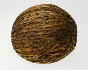 Fototapeta premium Amazing plant seed of Cerbera manghas, also called Pong pong seed, sea mango. On white background.