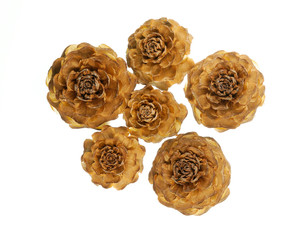 Pine cones (Cedrus deodara), looks like wood carving roses, on white background. Shot with focus stacking.