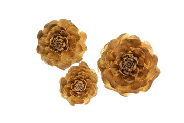 Pine cones (Cedrus deodara), looks like wood carving roses, on white background. Shot with focus stacking.
