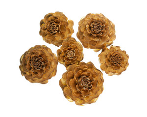 Pine cones (Cedrus deodara), looks like wood carving roses, on white background. Shot with focus stacking.