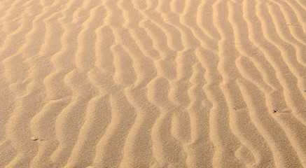 Fototapeta na wymiar Ripples in the sands 