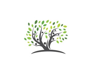 Obraz premium family tree logo template