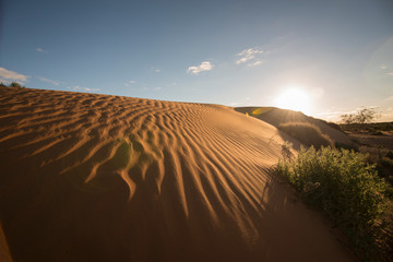Perry Sandhills, NSW, Australia