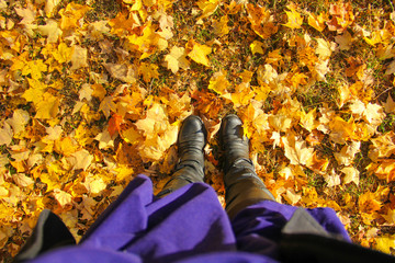autumn leaves in park