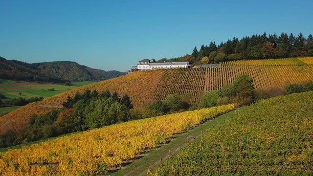 Aerial view of the vineyard estate Saarstein near Serrig, Saar River, Saar Valley near Saarburg, Rhineland-Palatinate, Germany