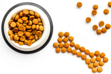 Dog food. Dry food in shape of bone near bowl on white backgorund top view space for text