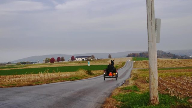 Amish Man Riding in an Open Buggy on an Autumn Day