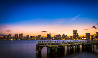 Fototapeta premium Tokyo Skyline