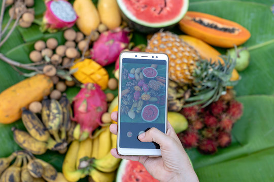 Woman hand take phone photography of tropical fruits. Sweet mango, papaya, pitahaya, banana, watermelon, pineapple. Raw vegan vegetarian healthy food