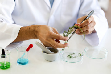 Set of Chemical tube development and pharmacy in laboratory,biochemistry and research technology concept.