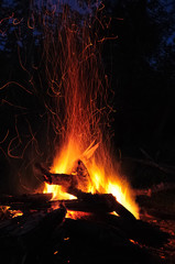night fire with sparks