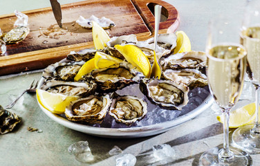 Opened Oysters © Maksim Shebeko