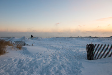 Polar Vortex Chicago
