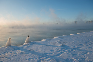 Polar Vortex Chicago