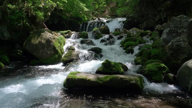 Waterfall in a Mountain Forest Captured on a Sunny Spring Day:Tateshina Ootaki Falls in Nagano Prefecture, Japan