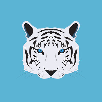 White Bengal Tiger Head Vector and Icon