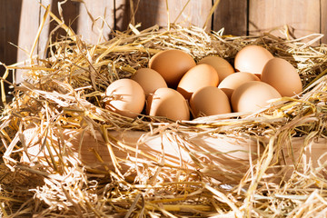 Fresh eggs from egg farms placed on rice straw for family consumption and sold -