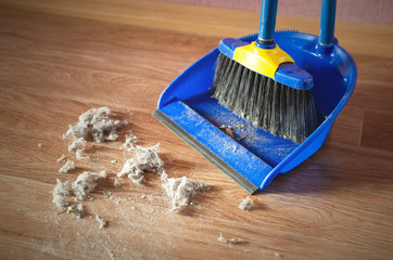 Dust on a house floor and floor brush with dustpan background. Home cleaning concept.