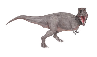 白亜紀後期の恐竜時代の終焉を飾る大型の肉食恐竜であり、様々な化石が発見されている。雌雄の大きさの違いや、家族単位での群れの形成等、生態への探求が今も続いている。上下の顎は重く鼻先は細長い。頭部を真正面から見るとフクロウのような視野の広がりをもつ。巨大な上顎が視野を妨げるような構造ではなく、獲物との距離感が正確につかめるような構造である。イラストは正面を向いた姿で描いた。 © Mineo